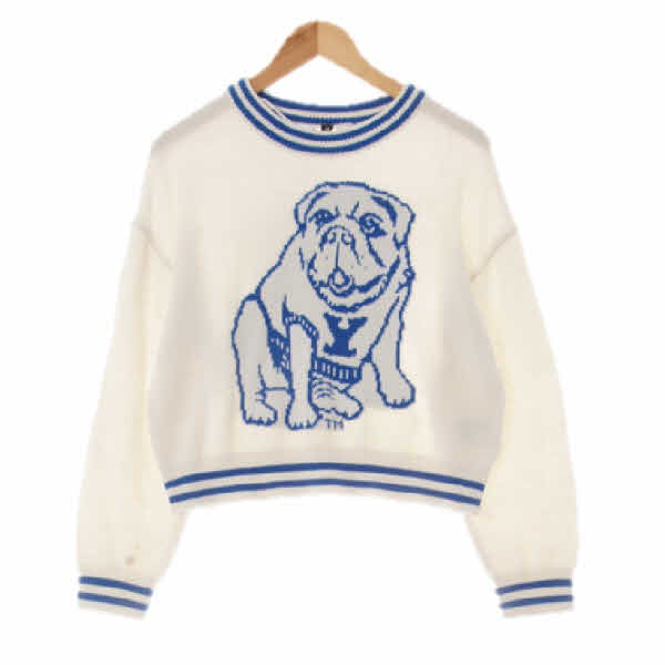 h&m 아이보리브라이트블루 불독크롭니트